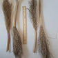Date Palm Stalk - IHEARTBUGS, INC.