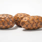 Dragon Egg Pod (Uxi Pod) - IHEARTBUGS, INC.