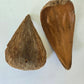 Dregea Arti Pods - IHEARTBUGS, INC.