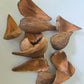Dregea Arti Pods - IHEARTBUGS, INC.