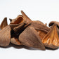 Dregea Arti Pods - IHEARTBUGS, INC.