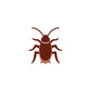 **Dubia Roach Clean - Up Crew Pack** - IHEARTBUGS, INC.