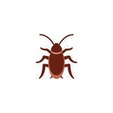 **Dubia Roach Clean - Up Crew Pack** - IHEARTBUGS, INC.