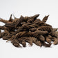 Fusilli Twisty Pods - IHEARTBUGS, INC.