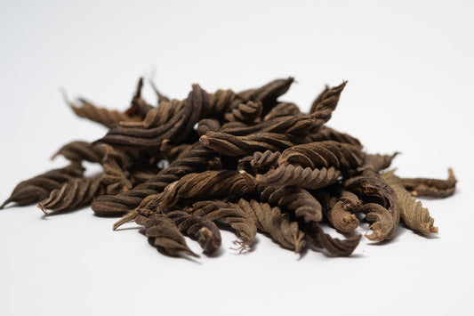 Fusilli Twisty Pods - IHEARTBUGS, INC.