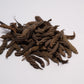 Fusilli Twisty Pods - IHEARTBUGS, INC.
