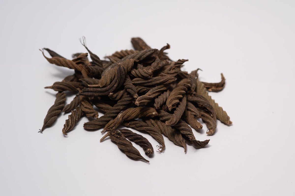 Fusilli Twisty Pods - IHEARTBUGS, INC.