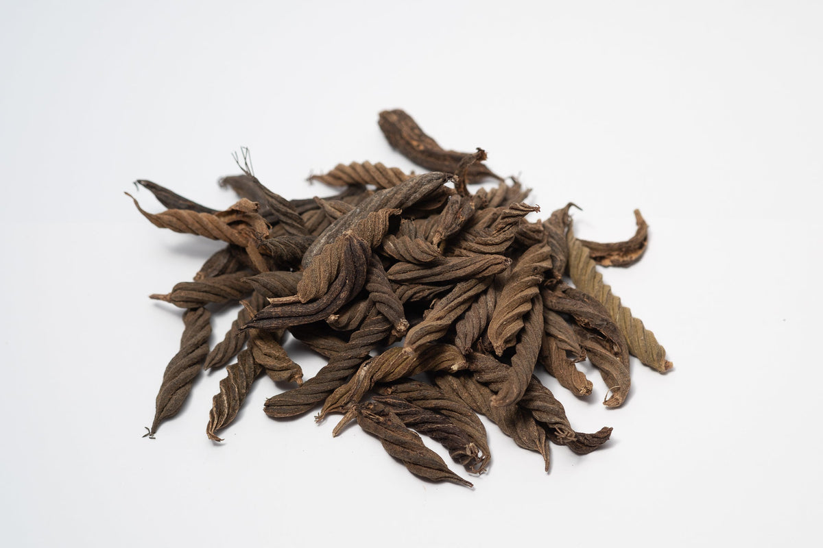 Fusilli Twisty Pods - IHEARTBUGS, INC.