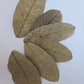 Guava Leaves - 25 Pack - IHEARTBUGS, INC.