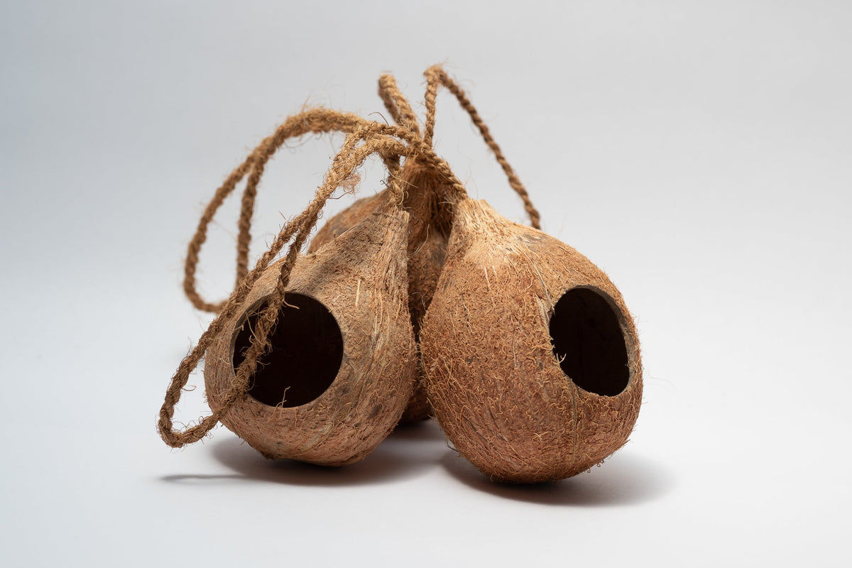 Hanging Coconut Hideout - IHEARTBUGS, INC.