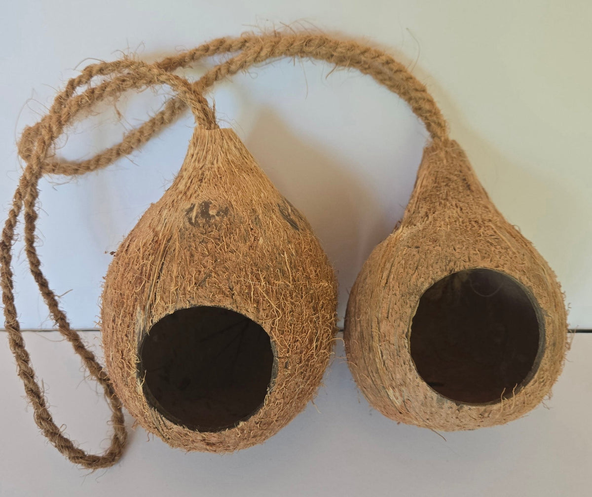 Hanging Coconut Hideout - IHEARTBUGS, INC.