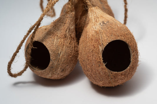 Hanging Coconut Hideout - IHEARTBUGS, INC.