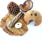 Hermit crab enrichment decor including a heart shaped jungle pod, half coconut shell cave with a door opening, brown dried leaves, a cholla wood stick which has webbing like holes, a pink sea urchin shell, and a lotus seed pod on a white background