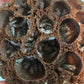 Imperfect Lotus Seed Pods - IHEARTBUGS, INC.