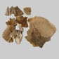 Imperfect Sponge Mushroom Pieces - 2 Ounce Bag - IHEARTBUGS, INC.