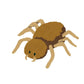 **Jumping Spider/Spood Clean - Up Crew Pack** - IHEARTBUGS, INC.