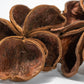 Land Lotus Seed Pod - IHEARTBUGS, INC.