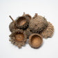 Large Acorn Caps - 7 Count - IHEARTBUGS, INC.