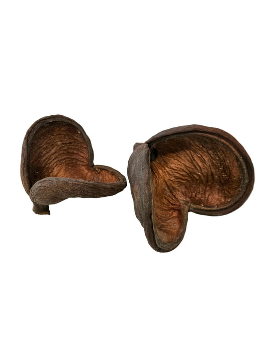Large Jungle Pods - IHEARTBUGS, INC.