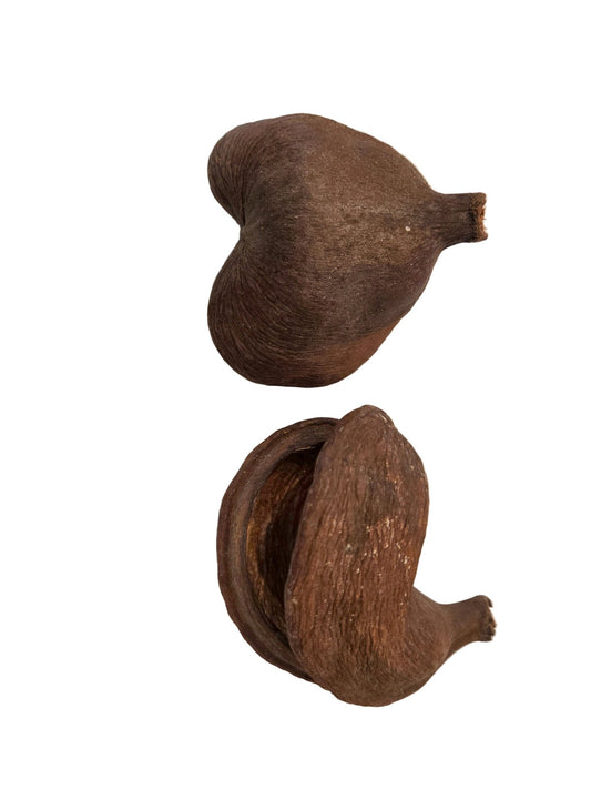 Large Jungle Pods - IHEARTBUGS, INC.