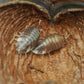 Large Jungle Pods - IHEARTBUGS, INC.