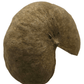 I Heart Bugs Large Jungle Pods are brown, round, and slightly flattened with a rough, matte surface and deep notch for a crescent shape—perfect for aquarium decor or bioactive terrariums. Fine ridges radiate outward. Shown isolated on a white background.