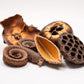 Large Seed Pod Pack - IHEARTBUGS, INC.