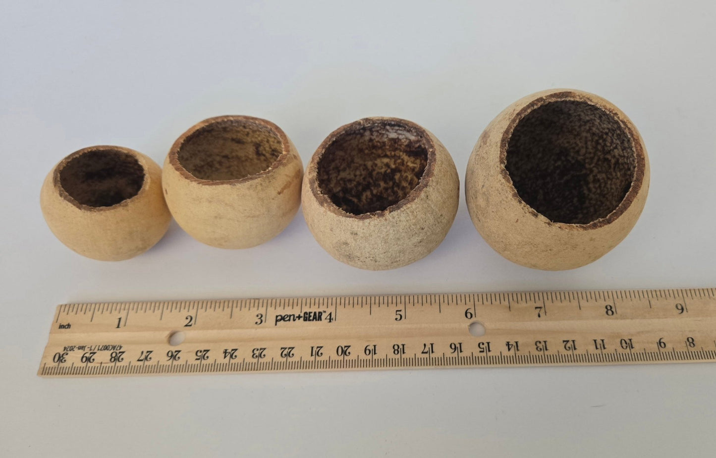 Medium Bell Cup Pod - IHEARTBUGS, INC.