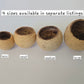 Medium Bell Cup Pod - IHEARTBUGS, INC.