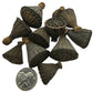 A pile of I Heart Bugs Mini/Nano Lotus Pods, dried and dark brown with holes, is shown beside a U.S. quarter for scale on a white background. Perfect as natural aquarium decor or bioactive terrarium supplies.