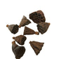 Mini/Nano Lotus Pods - IHEARTBUGS, INC.