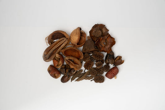 Mini/Nano Seed Pod Variety Pack - 30 Pieces - IHEARTBUGS, INC.
