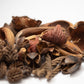 Mini/Nano Seed Pod Variety Pack - 30 Pieces - IHEARTBUGS, INC.