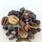Mini/Nano Seed Pod Variety Pack - 30 Pieces - IHEARTBUGS, INC.