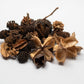 Mini/Nano Seed Pod Variety Pack - 35 Pieces - IHEARTBUGS, INC.