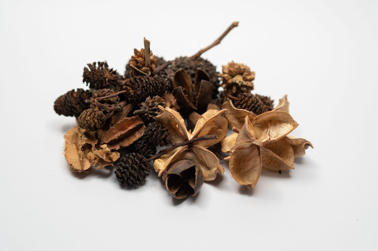 Mini/Nano Seed Pod Variety Pack - 35 Pieces - IHEARTBUGS, INC.