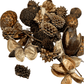 The I Heart Bugs Mini/Nano Seed Pod Variety Pack includes 35 assorted brown and beige seed pods, pinecones, and plant pieces. Perfect for natural-looking terrariums or springtail harvesting thanks to their varied earthy textures.
