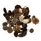 The I Heart Bugs Mini/Nano Seed Pod Variety Pack includes 35 assorted dried pods, cones, and shells in natural beige to dark brown tones—ideal for terrariums or springtail culture setups.