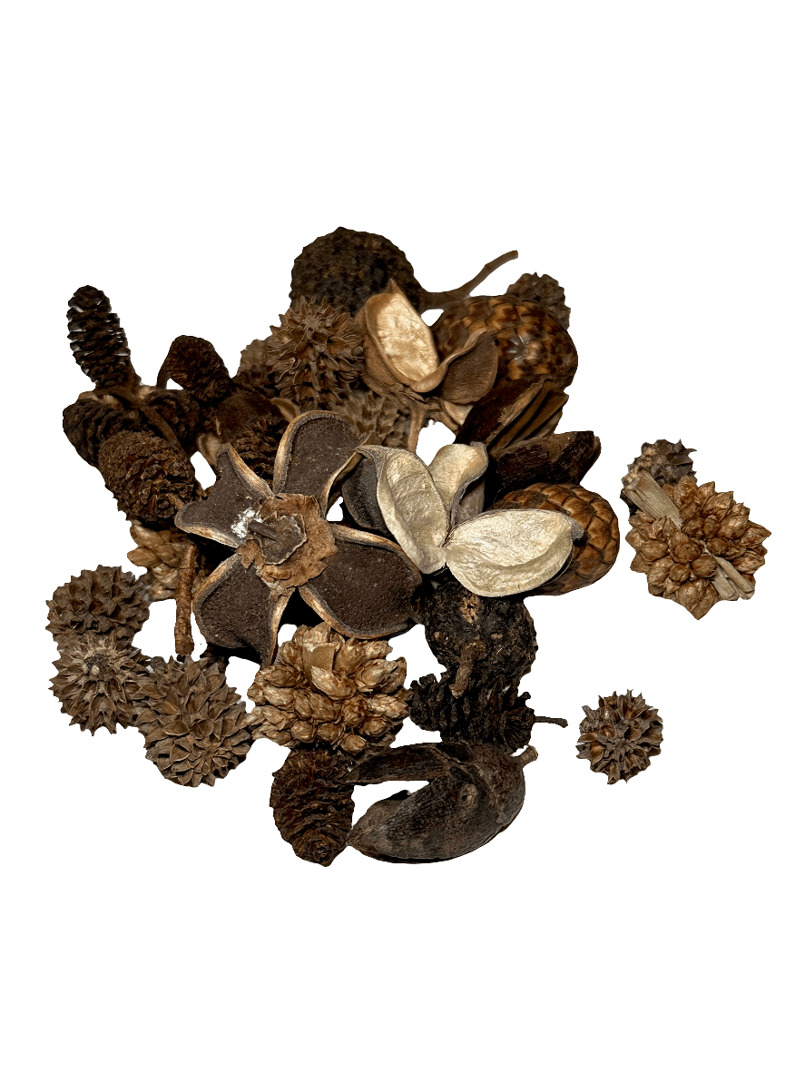 The I Heart Bugs Mini/Nano Seed Pod Variety Pack includes 35 assorted dried pods, cones, and shells in natural beige to dark brown tones—ideal for terrariums or springtail culture setups.