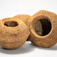 Monkey Pot Pod (XL) Sapucaia Pod - 1 count - IHEARTBUGS, INC.
