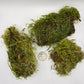 Mossy Branch Pieces - 3 Count - IHEARTBUGS, INC.