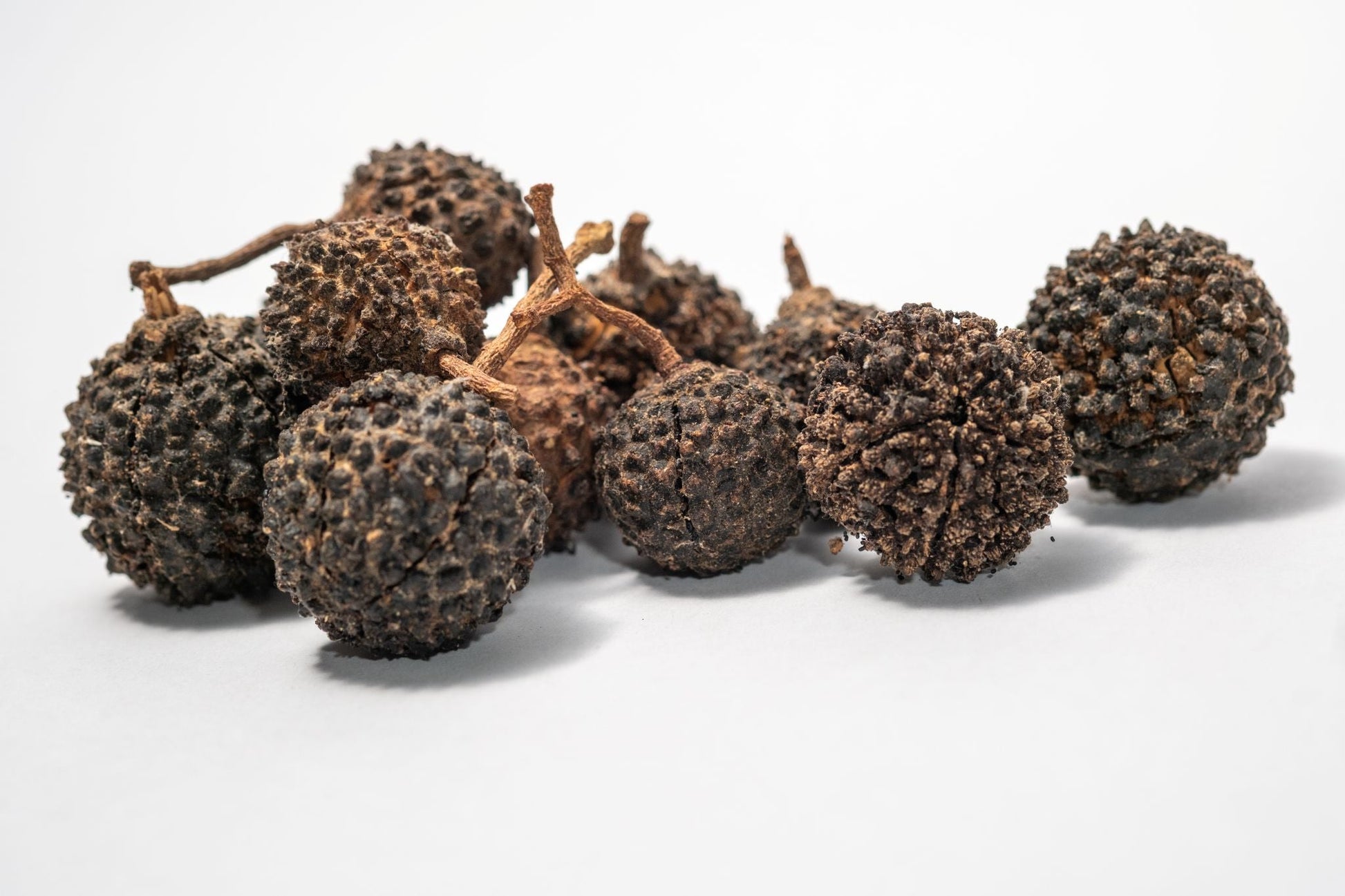 Mutamba Pods - 3 Count - IHEARTBUGS, INC.