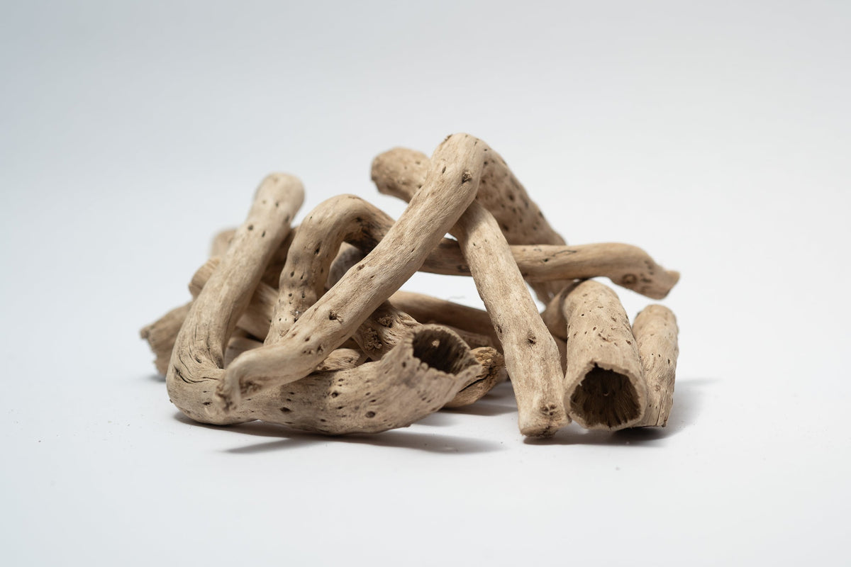 Natural Dried Cabbage Roots - IHEARTBUGS, INC.
