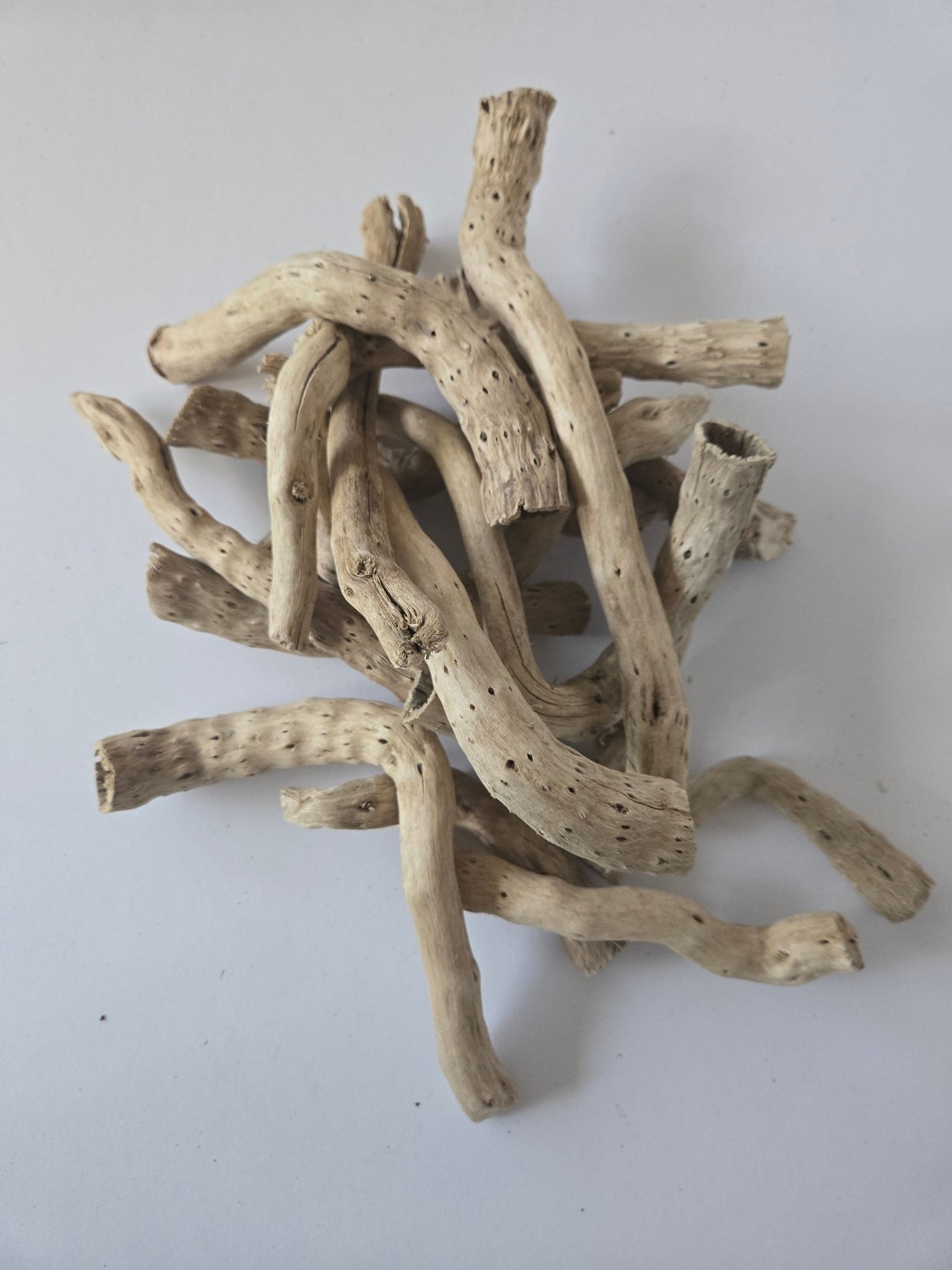 Natural Dried Cabbage Roots - IHEARTBUGS, INC.