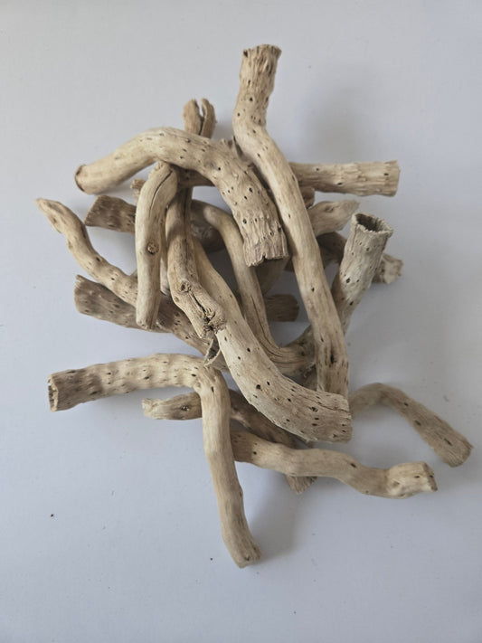 Natural Dried Cabbage Roots - IHEARTBUGS, INC.