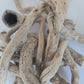 Natural Dried Cabbage Roots - IHEARTBUGS, INC.