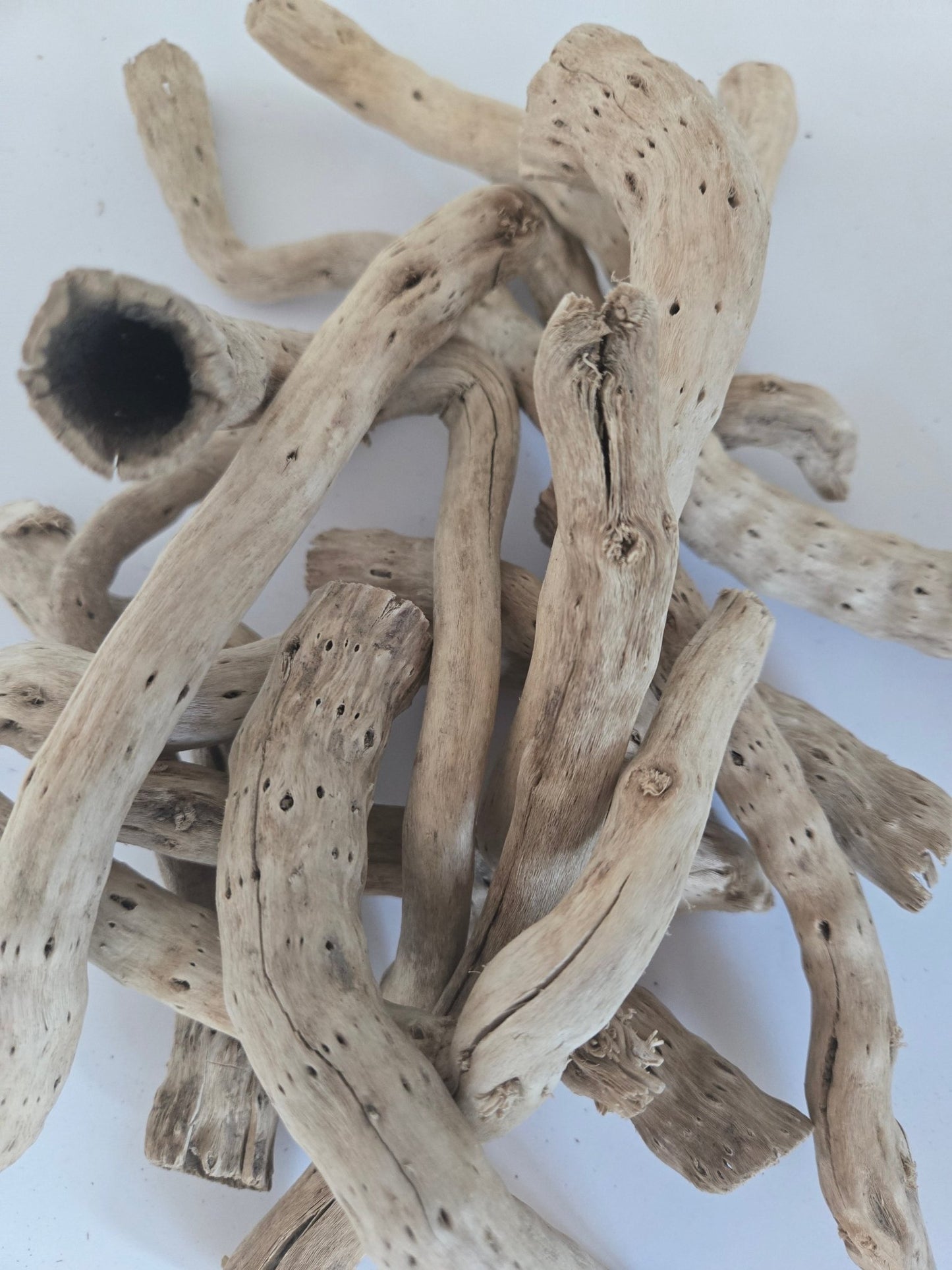 Natural Dried Cabbage Roots - IHEARTBUGS, INC.