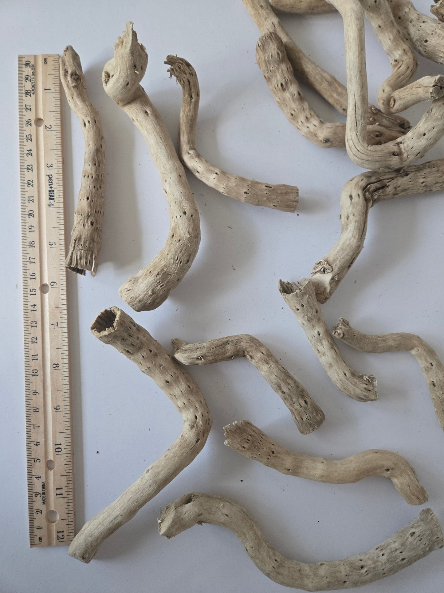 Natural Dried Cabbage Roots - IHEARTBUGS, INC.