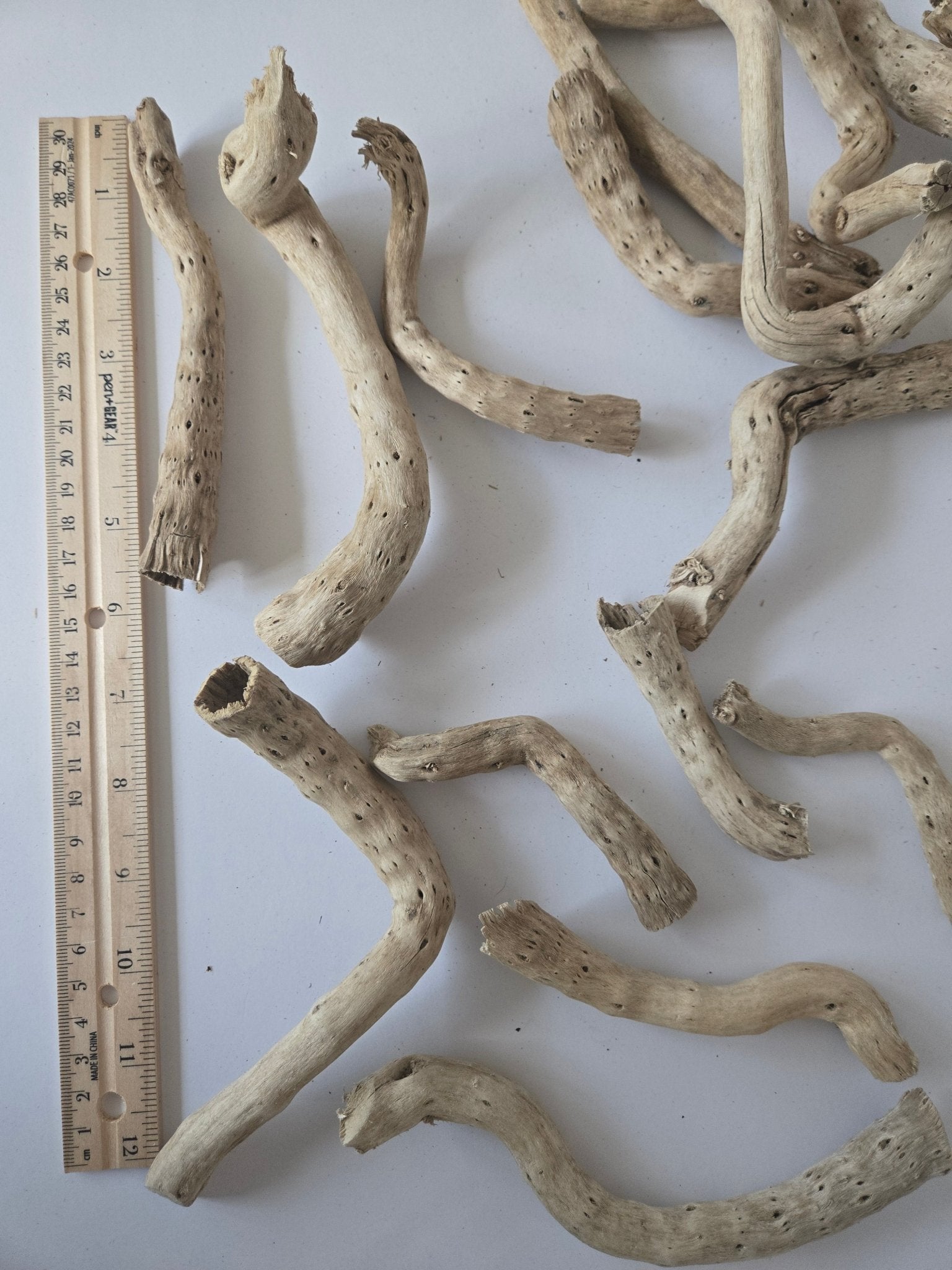 Natural Dried Cabbage Roots - IHEARTBUGS, INC.