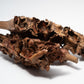 Palm Blossom Stalk - IHEARTBUGS, INC.